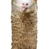 H.A.D. Original Multifunctional Cloth – Sheep Sale